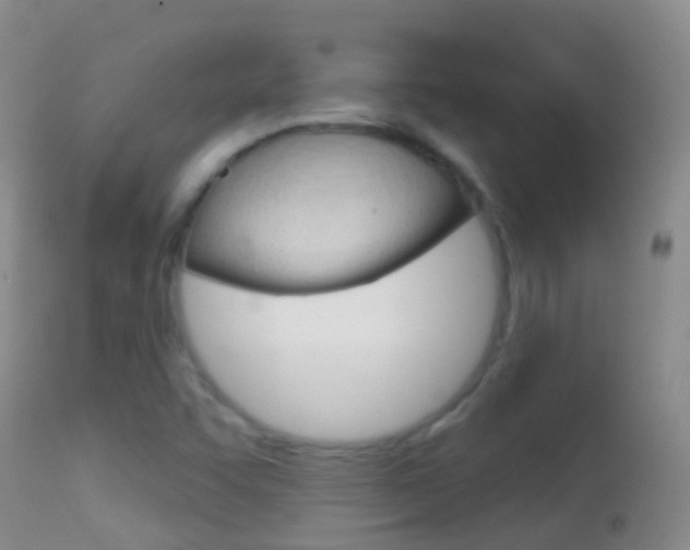X0000114691455200910211043