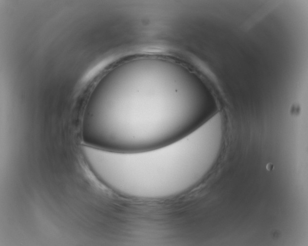 X0000114691456200910211043