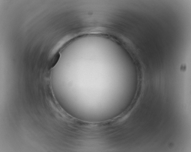 X0000114691457200910211043