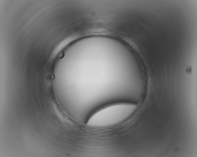 X0000114691458200910211043