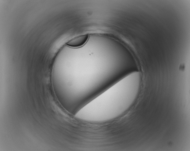 X0000114691459200910211043
