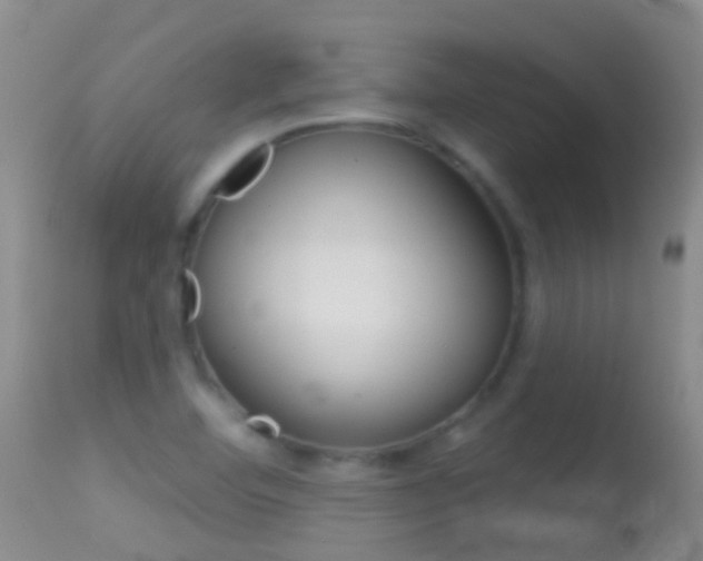 X0000114691460200910211043