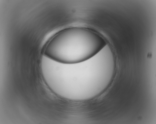 X0000114691461200910211043