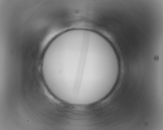 X0000114691462200910211043