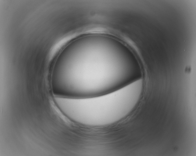 X0000114691464200910211043