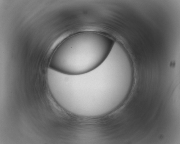 X0000114691465200910211043