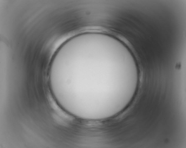 X0000114691466200910211043