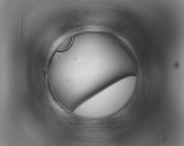 X0000114691467200910211043