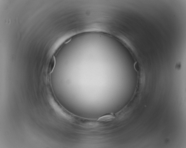 X0000114691468200910211043