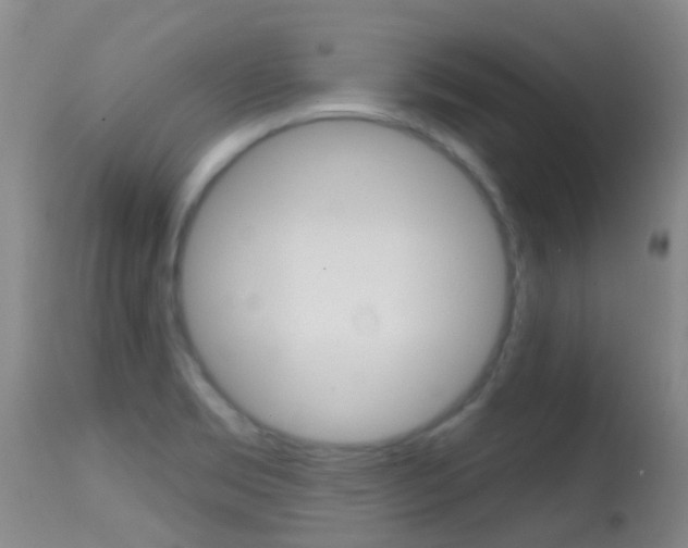 X0000114691469200910211043