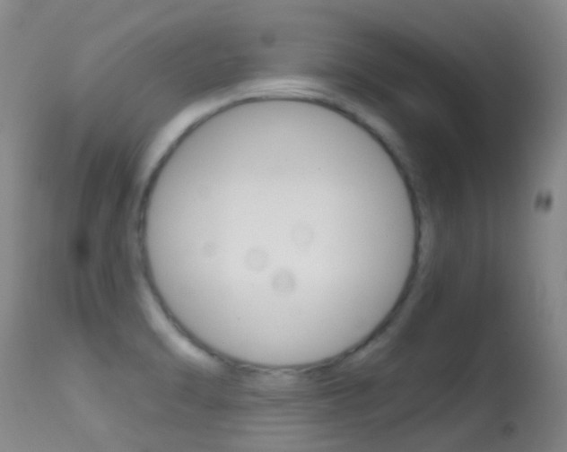 X0000114691470200910211043