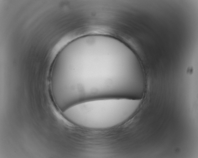 X0000114691471200910211043