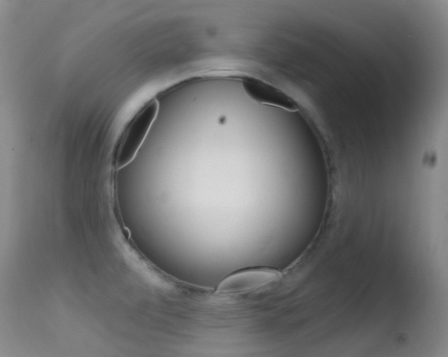 X0000114691472200910211043