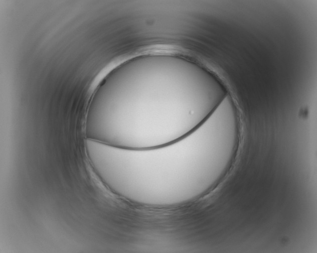 X0000114691473200910211043