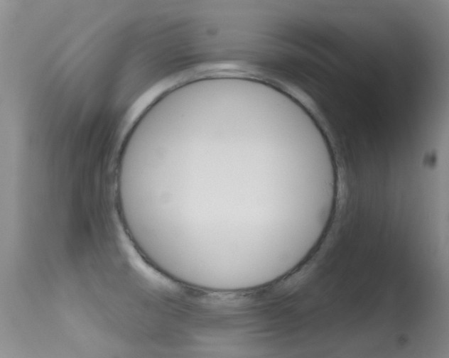 X0000114691474200910211043