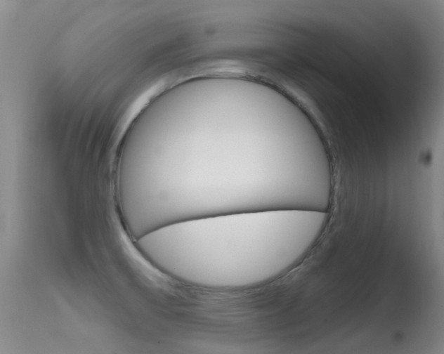 X0000114691475200910211043