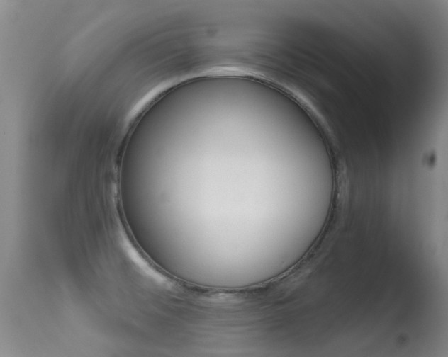 X0000114691476200910211043