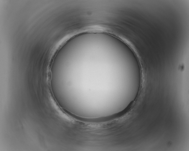 X0000114691477200910211043
