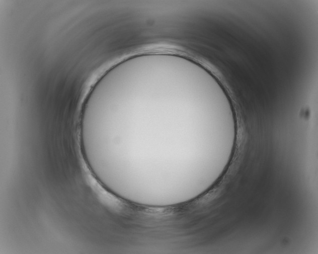 X0000114691478200910211043