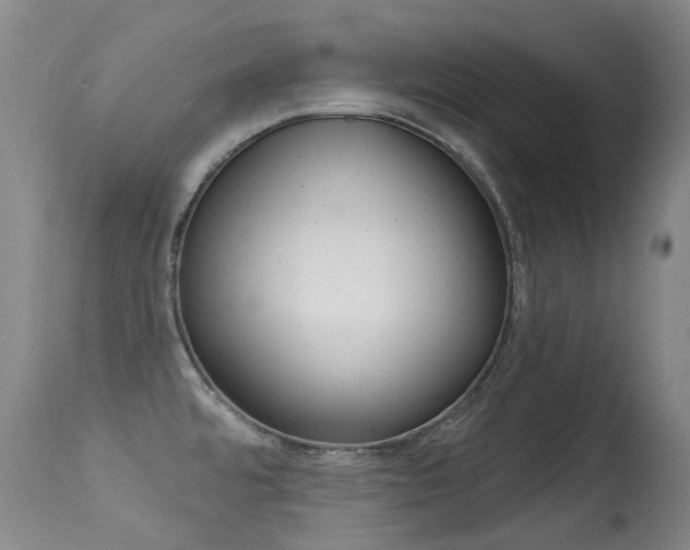 X0000114691480200910211043