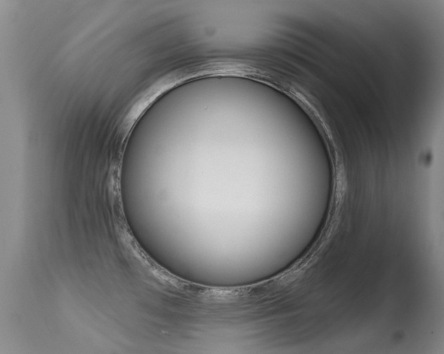 X0000114691481200910211043