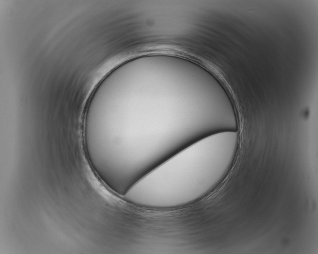X0000114691482200910211043