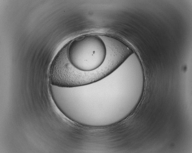 X0000114691483200910211043