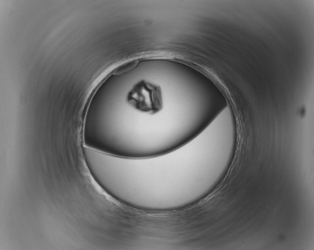 X0000114691484200910211043