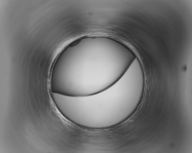 X0000114691485200910211043