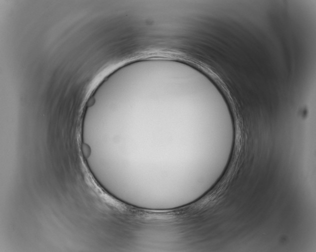 X0000114691486200910211043