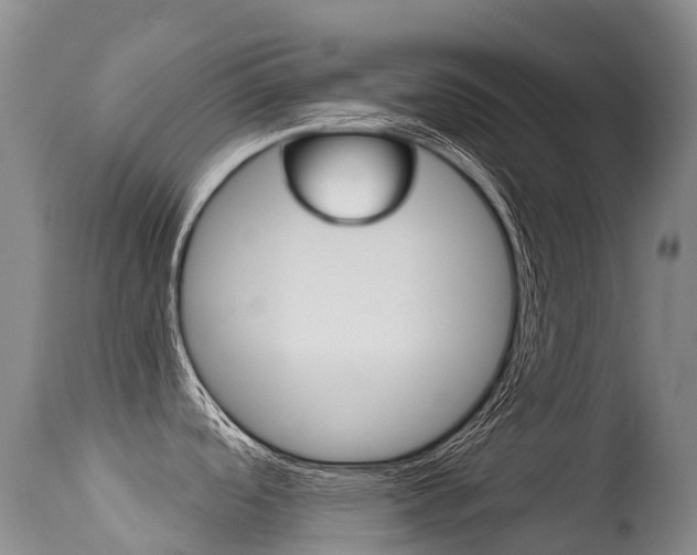 X0000114691488200910211043