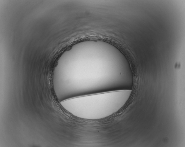 X0000114691490200910211042