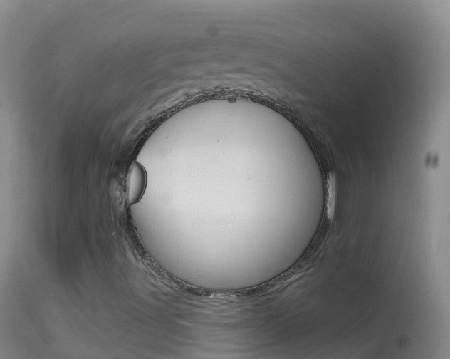 X0000114691491200910211042