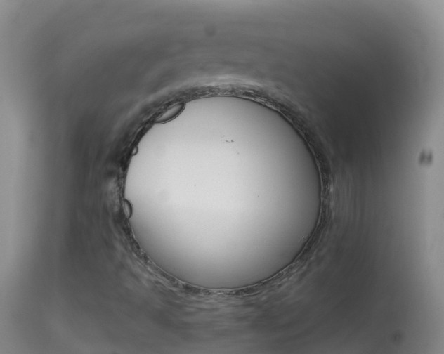 X0000114691493200910211042