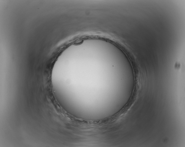 X0000114691494200910211042