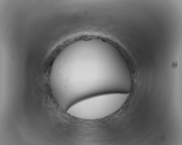 X0000114691495200910211042