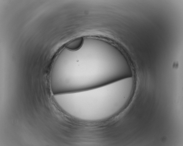 X0000114691497200910211042