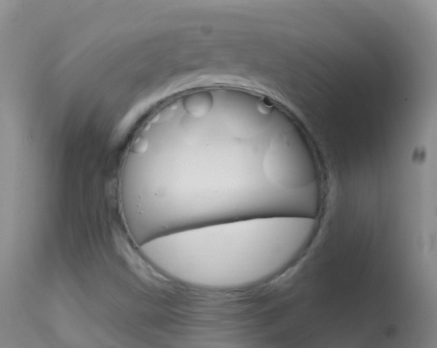 X0000114691499200910211042