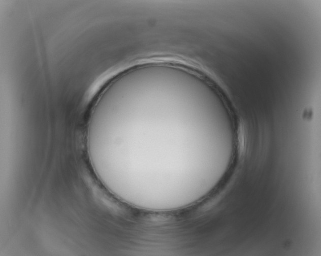 X0000114691501200910211042