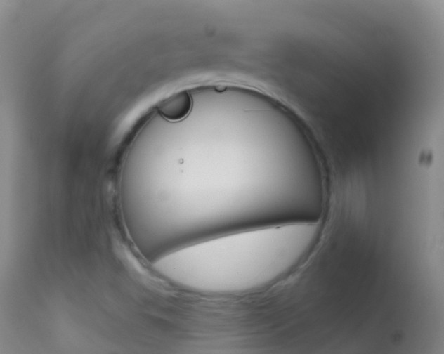 X0000114691503200910211042