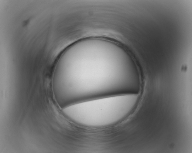 X0000114691505200910211042