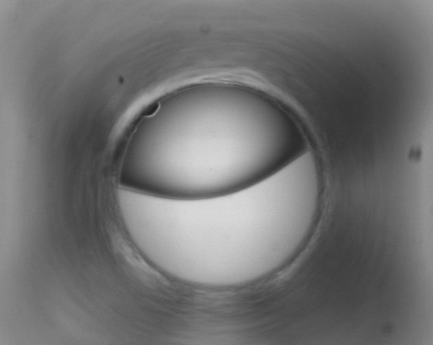X0000114691506200910211042