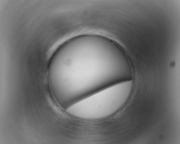 X0000114691507200910211042