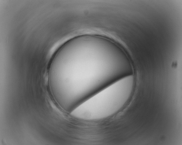 X0000114691509200910211042