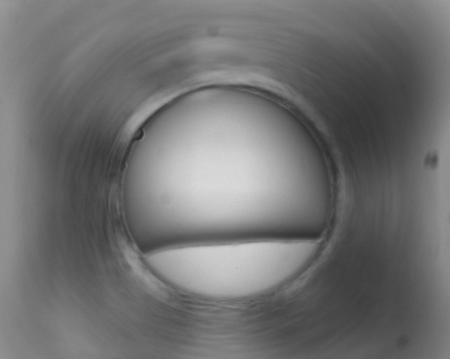 X0000114691513200910211042