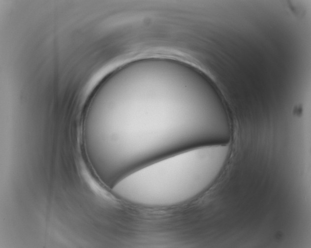 X0000114691515200910211042