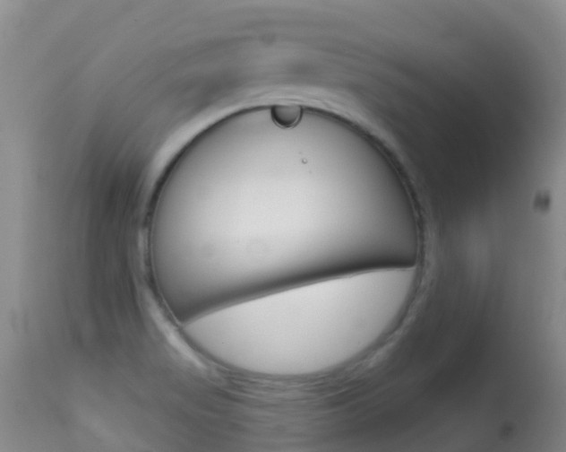 X0000114691517200910211043
