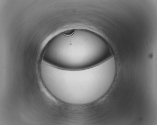X0000114691518200910211043