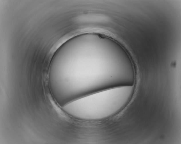 X0000114691521200910211043