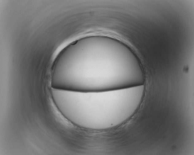 X0000114691522200910211043